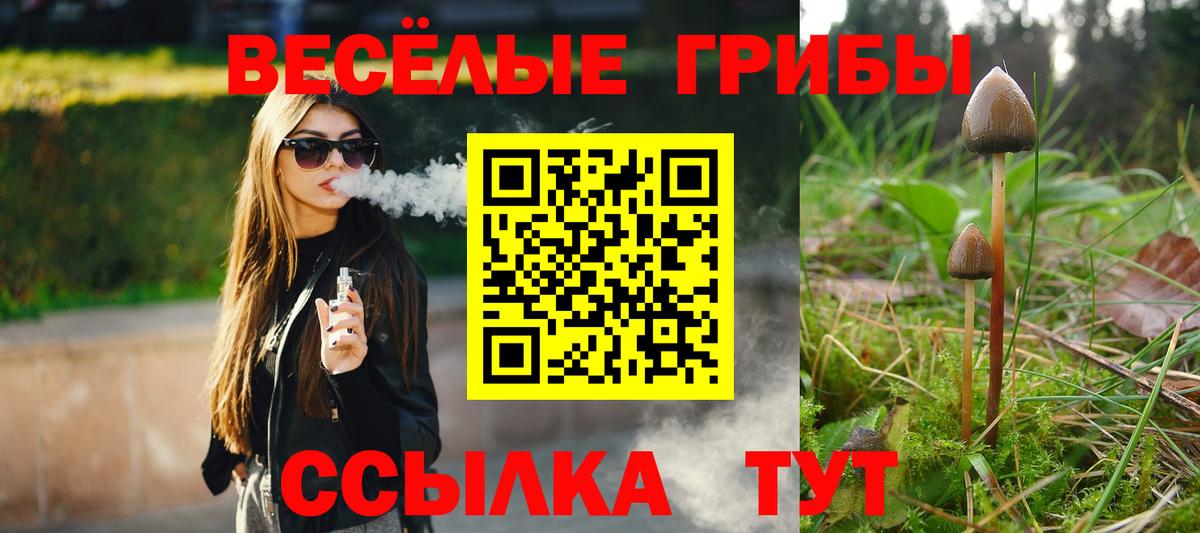Галлюциногенные грибы мухоморы  Вход с VPN  Новороссийск 