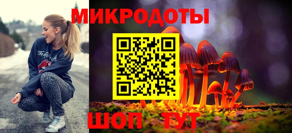 Псилоцибиновые грибы Psilocybine cubensis Новороссийск
